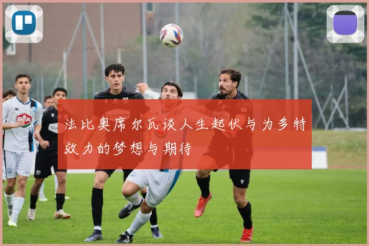 法比奥席尔瓦谈人生起伏与为多特效力的梦想与期待